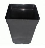 Pot carré -  (10X10XH11cm) - 1 L X 50 UNITES